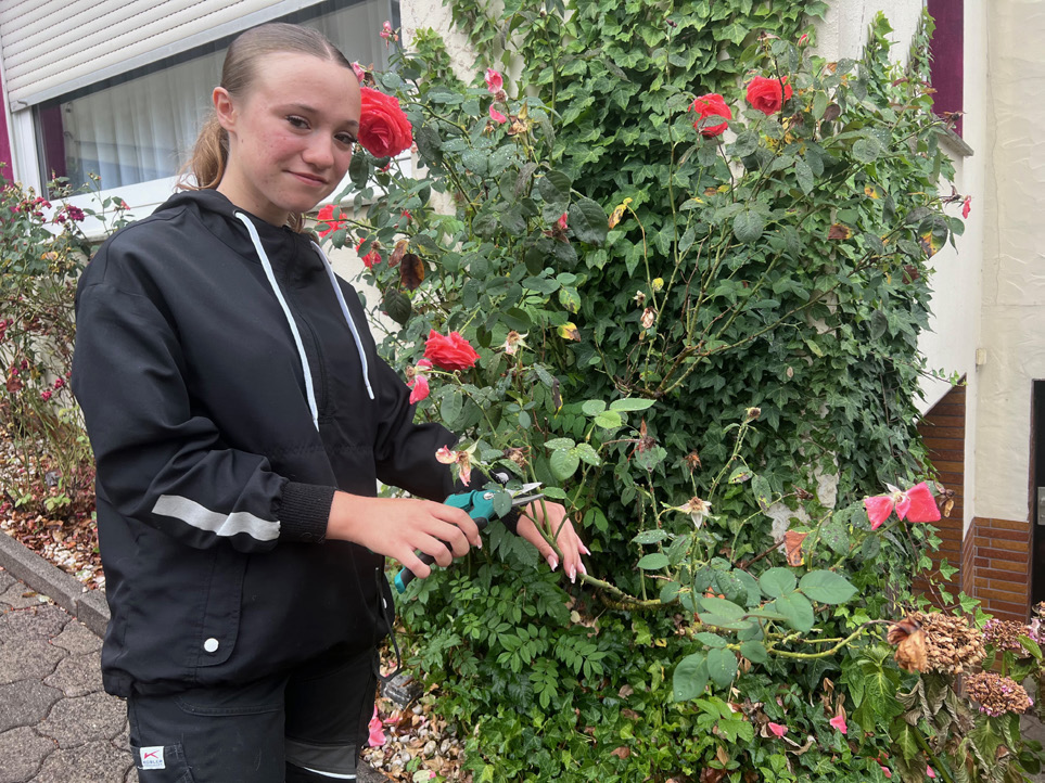 Laura Igel schneidet Rosen im Garten